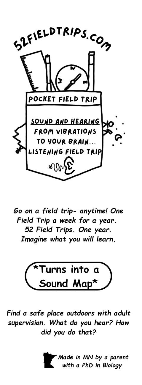 Pocket Field Trip Sound and Hearing